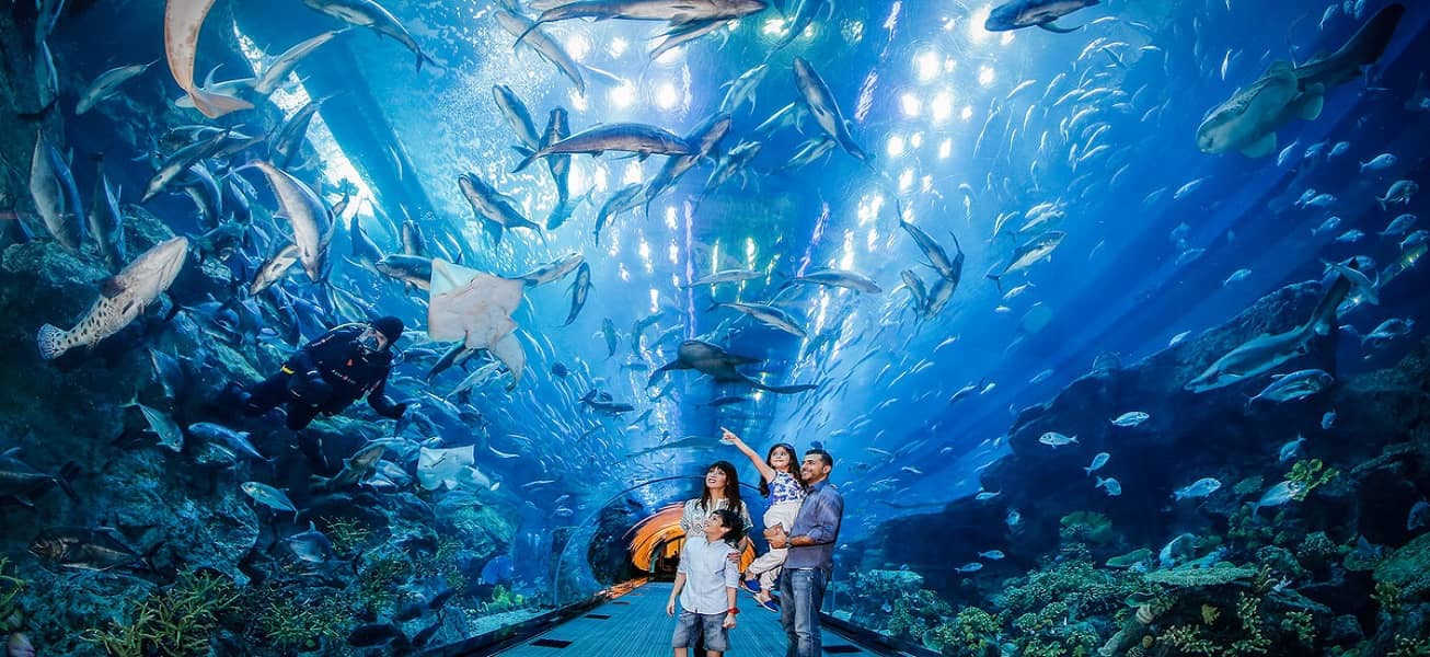 Dubai Aquarium & UnderWater Zoo | Happy Desert Safari