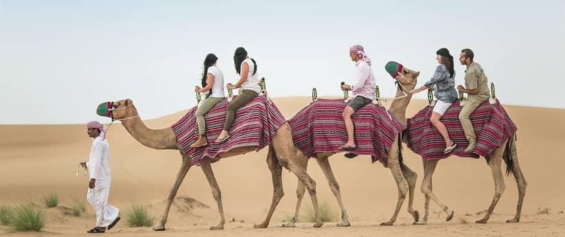 How to Explore the Best Desert Safari Dubai on Budget