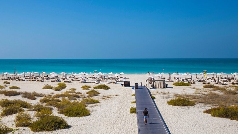 Saadiyat Beach in Abu Dhabi Guide